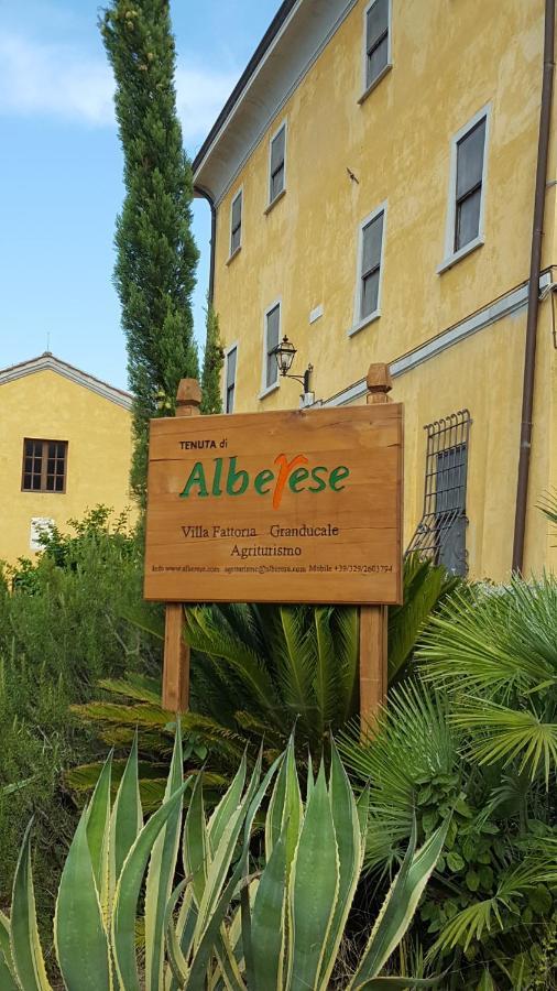 Terre Regionali Toscane Alberese Bagian luar foto